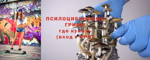 MDMA Козловка