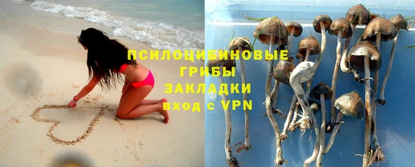 метадон Козельск
