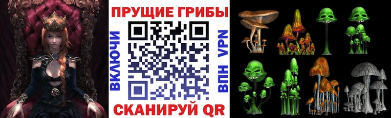 Купить  Ершов  Галлюциногенные грибы GOLDEN TEACHER 