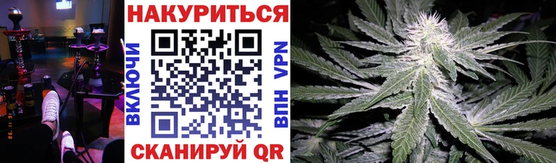 Бошки Шишки Amnesia Ершов